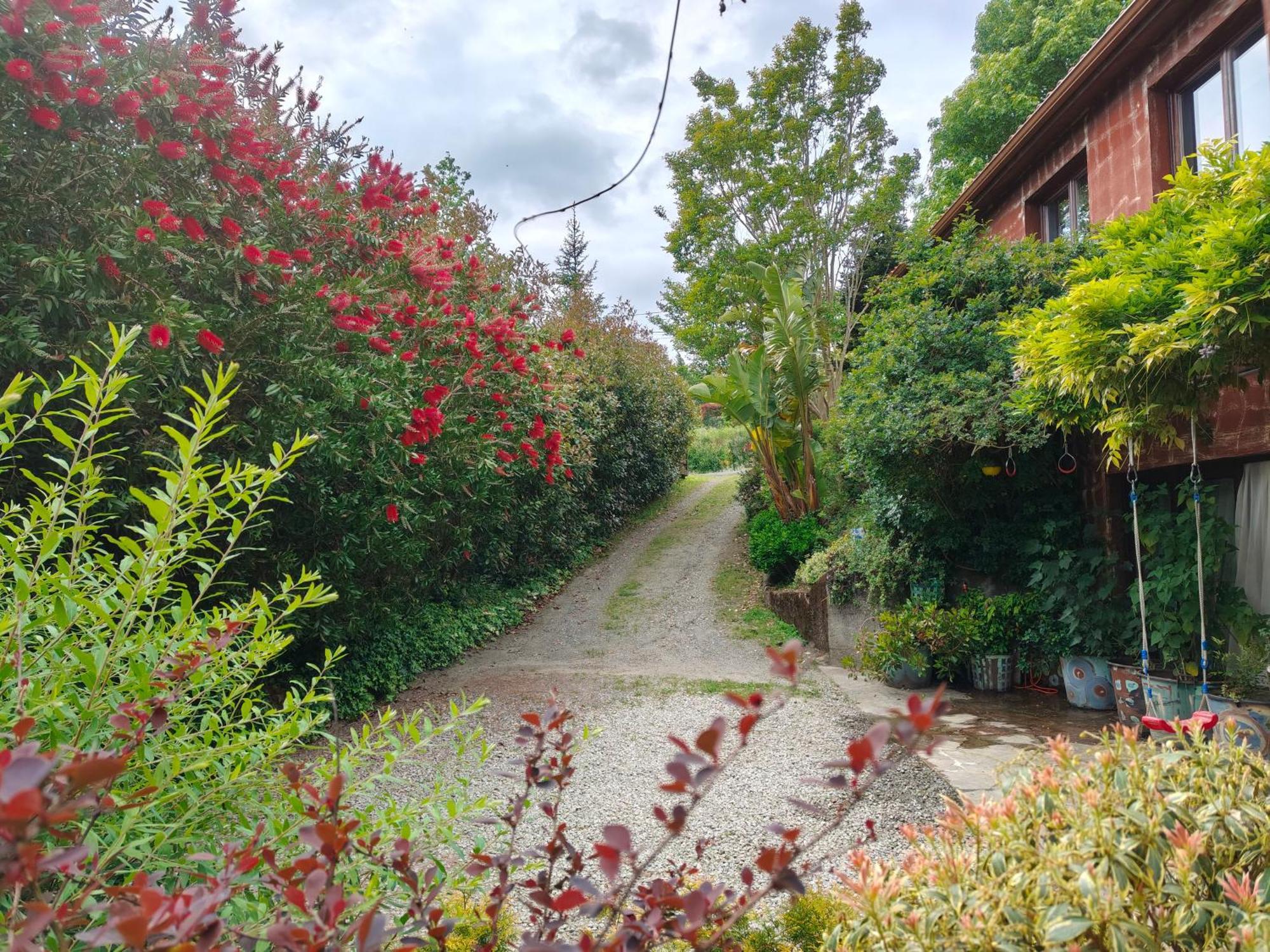 Apartamentos Rosa Jove Cabañas Buitenkant foto